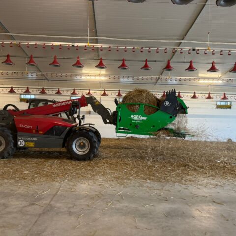 Ładowarka teleskopowa z zamontowaną ścielarką AGROBLAZ rozdrabnia i rozściela słomę wewnątrz budynku inwentarskiego.