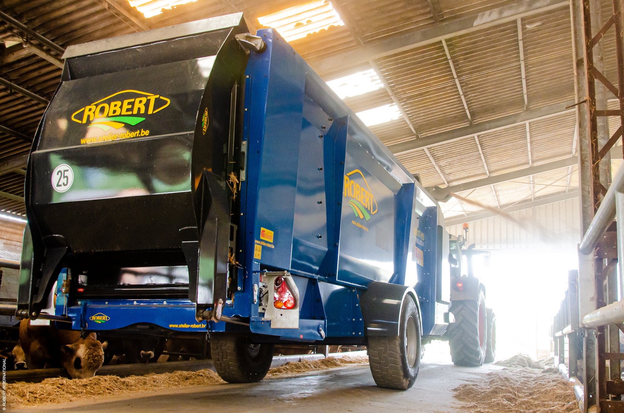 Ścielarka ROBERT P2200 podczas pracy w oborze – równomierne rozrzucanie słomy i czysta praca bez nadmiernego pylenia.